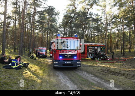 17 aprile 2019, il Land Brandeburgo, Groß Kreutz: In una zona boschiva vicino a Groß Kreutz (Potsdam-Mittelmark distretto) ci sono motori Fire e vigili del fuoco seduto per terra accanto a loro. I vigili del fuoco è stata in grado di contenere il fuoco, come un portavoce per la situazione nel centro di Potsdam detto in serata. Circa 300 metri quadri di foresta avrebbe preso fuoco. Foto: Julian Stähle/dpa-Zentralbild/dpa Foto Stock