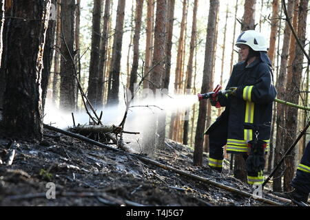 17 aprile 2019, il Land Brandeburgo, Groß Kreutz: In una zona boschiva vicino a Groß Kreutz (Potsdam-Mittelmark distretto), un vigile del fuoco si estingue il fuoco con un tubo flessibile di acqua. I vigili del fuoco è stata in grado di contenere il fuoco, come un portavoce per la situazione nel centro di Potsdam detto in serata. Circa 300 metri quadri di foresta avrebbe preso fuoco. Foto: Julian Stähle/dpa-Zentralbild/dpa Foto Stock