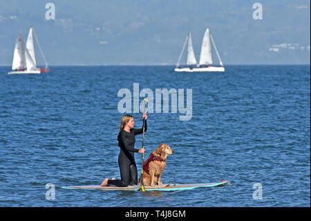 Santa Barbara, CA, Stati Uniti d'America. Xvii Apr, 2019. Rose Hardeman cavalca il suo paddleboard mercoledì 17 aprile 2019 insieme con i suoi dieci anni di vecchio Golden Retriever, pesche, off Ledbetter spiaggia di Santa Barbara in California. Credito: Mike Eliason/ZUMA filo/Alamy Live News Foto Stock