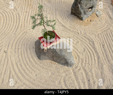 Sabbia Zen Garden nel Jardin de Corazon giardino giapponese, La Serena, Cile Foto Stock