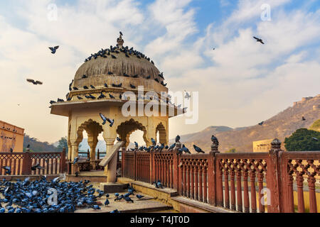 Piccioni su Pavilion vicino Forte Amber e il palazzo nel lago Maotha al mattino. Jaipur. Il Rajasthan. India Foto Stock