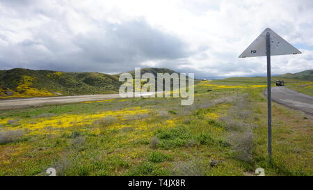 California Goldenfields o Lasthenia californica. Super Bloom 2019, Carizzo Plain monumento nazionale, CALIFORNIA, STATI UNITI D'AMERICA Foto Stock