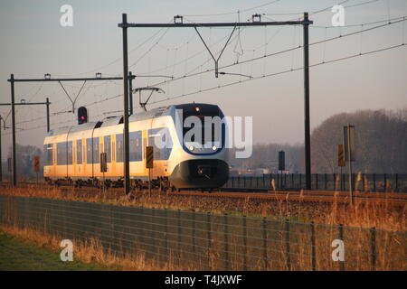 SLT sprinter locale treno dei pendolari nel sole di sera tra gouda e Rotterdam in Moordrecht Foto Stock