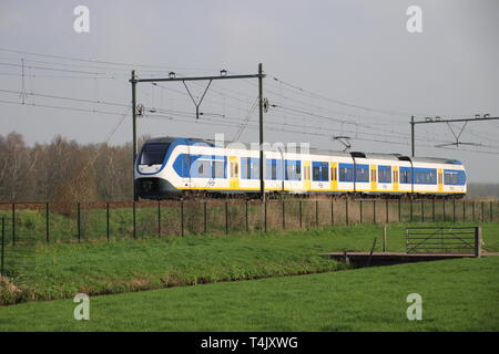 SLT sprinter locale treno dei pendolari nel sole di sera tra gouda e Rotterdam in Moordrecht Foto Stock