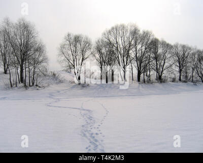 Paesaggio invernale con alberi e tracce sulla neve Foto Stock