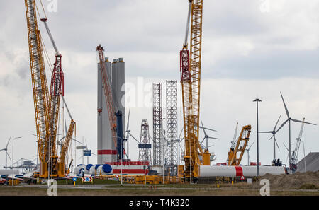 Eemshaven seaport nel nord-ovest del Paesi Bassi, bus terminal hub logistico per impianti eolici offshore nel Mare del Nord, installazione di offshor Foto Stock