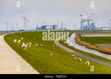 Eemshaven seaport nel nord-ovest del Paesi Bassi, parco energetico per alimentazione da diversi impianti di potenza e con le turbine eoliche della fattoria eolica W Foto Stock