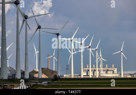 E Westereems Growind wind farm, per un totale di oltre 80 turbine eoliche, a Eemshaven seaport, provincia di Groningen, nel nord-ovest del Paesi Bassi, a Foto Stock