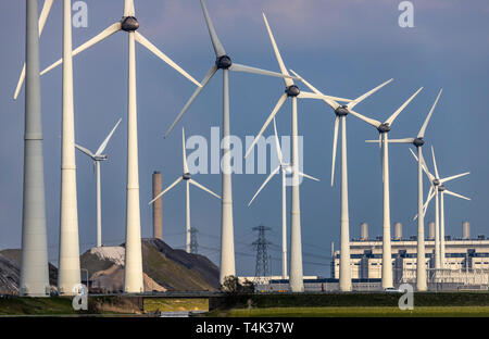 E Westereems Growind wind farm, per un totale di oltre 80 turbine eoliche, a Eemshaven seaport, provincia di Groningen, nel nord-ovest del Paesi Bassi, a Foto Stock