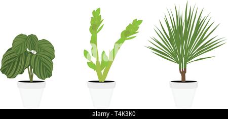 Vari vasi houseplants. Giardino di piante in vaso. Set di vettore di piante in vaso. Vaso di fiori sbocciano Illustrazione Vettoriale