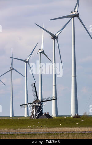 Parco eolico e Westereems Growind, complessivamente oltre 80 turbine eoliche, al Seaport Eemshaven, provincia di Groninga, nel nord-ovest dei Paesi Bassi, Foto Stock