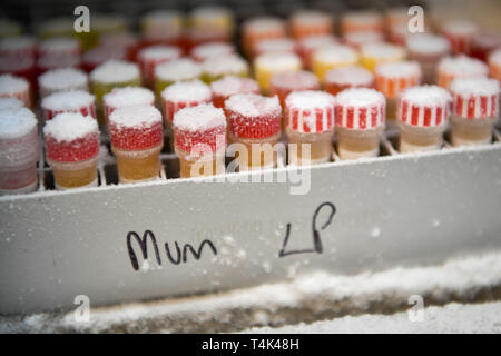 I campioni di medicinali e di tessuti di origine umana all'interno di un congelatore in un medico di laboratorio clinico, in base all'Università di Bristol. Stampa foto di associazione. Picture Data: lunedì 8 aprile 2019. Foto di credito dovrebbe leggere: Ben Birchall Foto Stock