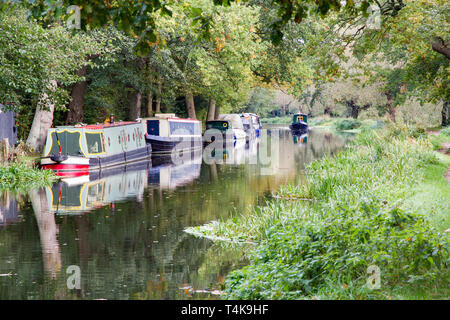 Canal barge motoring lungo accanto a quelli ormeggiati contro l'alberato banca del fiume Wey navigazione su un tratto vicino a Guildford nel Surrey countrys Foto Stock