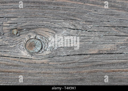 La texture del vecchio weathered nodoso board Foto Stock