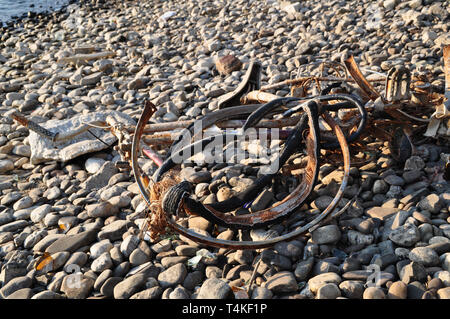 Una bicicletta arrugginita giace sulle sponde del fiume Reno. Essa è stata gettata nel Reno e lavato a terra. È piegata e di marcio. Foto Stock