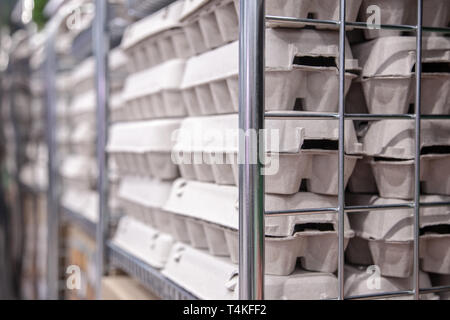 Scatole con uova di gallina sullo scaffale di supermercato Foto Stock