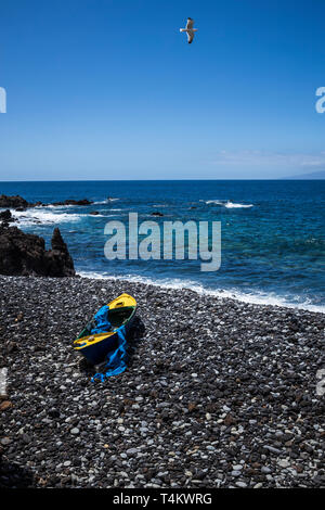 Il vecchio legno barca a remi su un suolo pietroso spiaggia rocciosa in una insenatura a Fonsalia, con i gabbiani flying overhead, Playa San Juan, Tenerife, Isole Canarie, Spagna Foto Stock