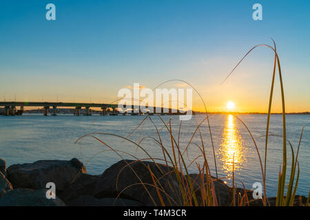 Sunrise si illumina tutta Tauranga harbour con linee curve di Harbour Bridge da rocky foreshore Foto Stock