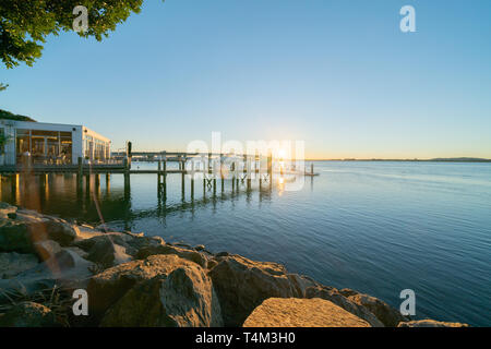 Sunrise si illumina tutta Tauranga harbour con linee curve di Harbour Bridge e jetty attraverso gli alberi. Foto Stock