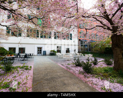 San Gallo, SG / Svizzera - Aprile 8, 2019: vista del centro storico della città nella città svizzera di Sankt Gallen con la fioritura degli alberi rosa nel foregr Foto Stock