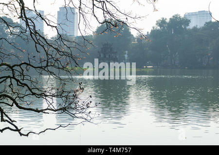 Giovani boccioli rosso sui rami in inverno al lago Hoan Kiem Hanoi. Torre di tartaruga su sfondo Foto Stock