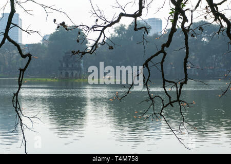 Giovani boccioli rosso sui rami in inverno al lago Hoan Kiem Hanoi. Torre di tartaruga su sfondo Foto Stock