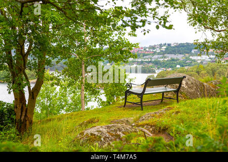 Panca con vista sullo stagno tra gli alberi Foto Stock