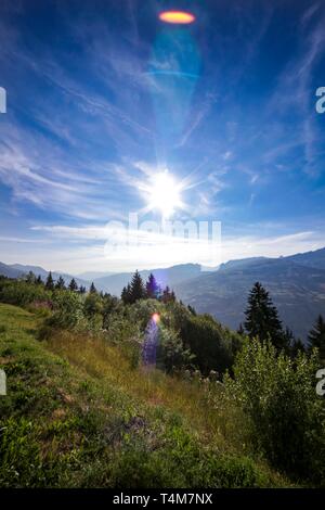 Incredibile panorama alpino con prati e foreste, Les Arcs, Francia. Foto Stock