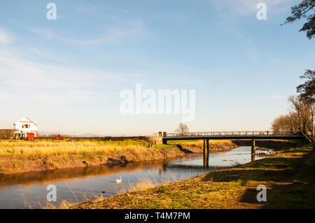 Cartford ponte a pedaggio e Casello con un cigno sul fiume Wyre a poco Eccleston con Larbreck Lancashire England Regno Unito Foto Stock