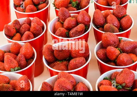 Fragole fresche sul mercato in rosso i bicchieri di plastica Foto Stock