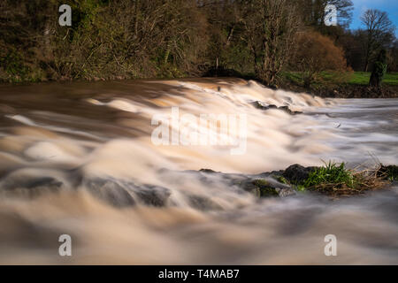 La weir a Brierley Hill St John sulla Lontra di fiume in piena forza con tutta la pioggia tempesta seguenti Gareth, una lunga esposizione per lisciare fuori l'acqua. Foto Stock