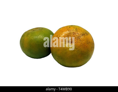 Due arance fresche, frutta della specie di agrumi Citrus × sinensis nella Famiglia Rutacee, su sfondo bianco. Foto Stock