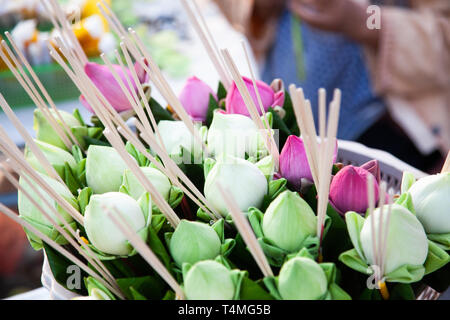 Bel fiore offerte al Buddha Foto Stock