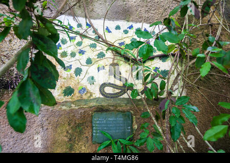 Dipinti murali all'interno della foresta pluviale Biome all'Eden Project, Cornwall, Inghilterra Foto Stock