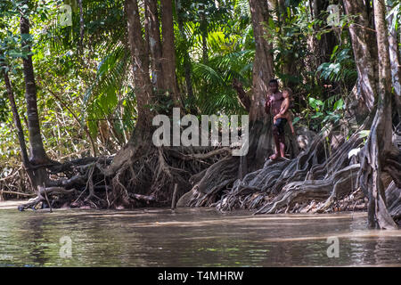 Maroni fiume vicino a Saint-Laurent, Guyana, Saint-Laurent-du-Maroni, Francia Foto Stock