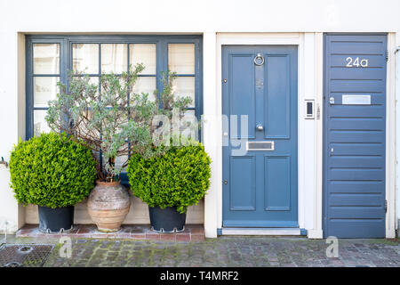 Vasi per piante al di fuori di una casa di Londra a Petersham Mews, South Kensington SW7, Londra. Inghilterra Foto Stock