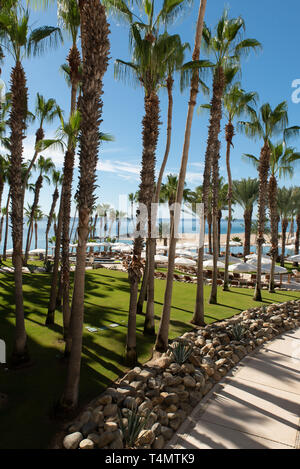 Zimmer mit Aussicht im Hilton Los Cabos, Baja California, Mexiko. / Camera con vista all'Hilton Los Cabos, Baja California, Messico. Foto Stock