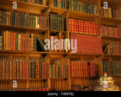 Righe di scaffali con vecchi libri in biblioteca a De Castello di Haar, Utrecht Foto Stock