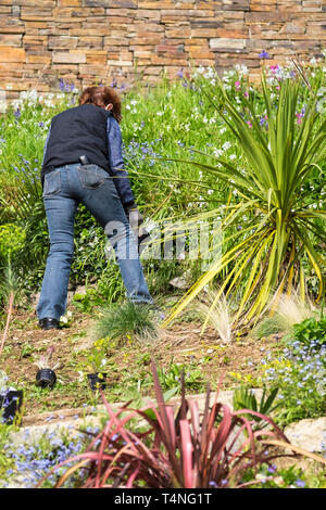 Una donna che lavora su un giardino in pendenza. Foto Stock