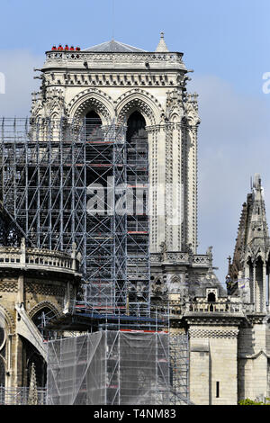 Giorno 2 a seguito di un incendio, lavori di consolidamento di Notre-dame ha iniziato - Parigi - Francia Foto Stock