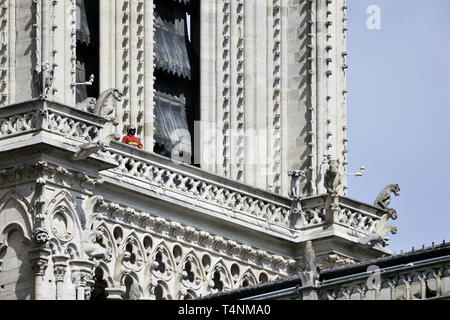 Giorno 2 a seguito di un incendio, lavori di consolidamento di Notre-dame ha iniziato - Parigi - Francia Foto Stock