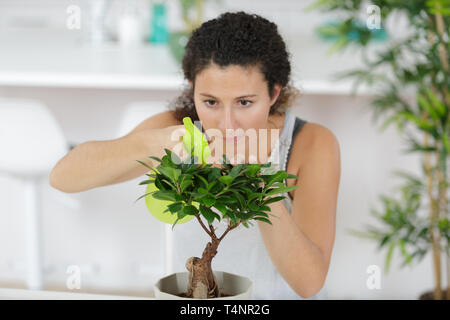 Giovane donna lavora spruzza acqua su albero di bonsai e sorrisi Foto Stock