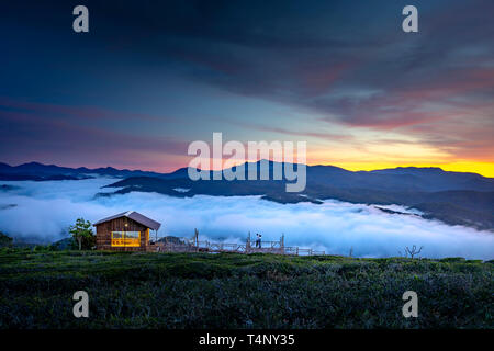 Beautiful Dawn a Cau Dat la piantagione di tè nella città di Dalat, Vietnam Foto Stock