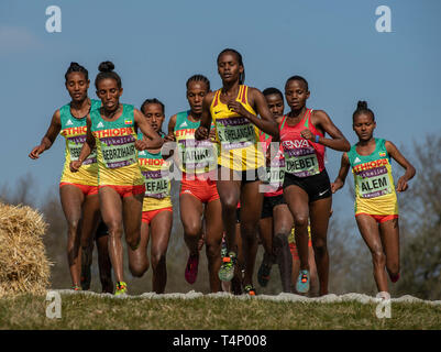 AARHUS, Danimarca - 30 Marzo: U20 WomenÕs gara presso la IAAF World Cross Country Championships il 30 marzo 2019 ad Aarhus in Danimarca Foto Stock