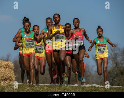 AARHUS, Danimarca - 30 Marzo: U20 WomenÕs gara presso la IAAF World Cross Country Championships il 30 marzo 2019 ad Aarhus in Danimarca Foto Stock