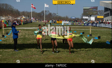 AARHUS, Danimarca - 30 Marzo: U20 WomenÕs gara presso la IAAF World Cross Country Championships il 30 marzo 2019 ad Aarhus in Danimarca Foto Stock