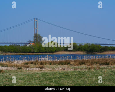 Verde erba, giunchi e un laghetto nel lontano Ings Riserva Naturale, North Lincolnshire, Inghilterra, con una vista del Ponte Humber in background Foto Stock