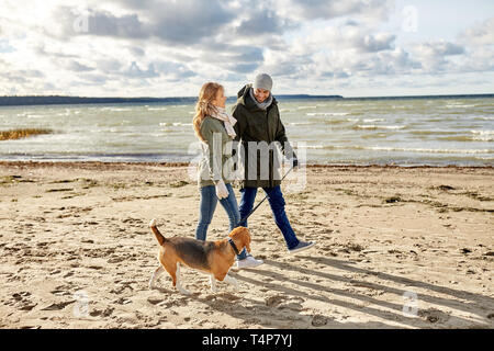 Pet, animale domestico e concetto di persone - coppia felice passeggiate con il cane beagle al guinzaglio lungo la spiaggia di autunno Foto Stock