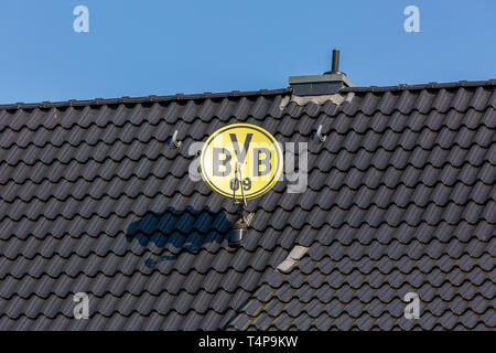 Immagine simbolica, antenna parabolica nei colori del club e con il club emblema del club calcistico tedesco BVB 09 Borussia Dortmund su una casa tetto, antenna televisiva tv satellitare, sport, calcio, Bundesliga, football mania, club loyalty, tegole Foto Stock