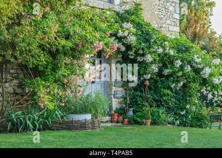 Roquelin's Gardens, Les Jardins de Roquelin, francia : giardino benvenuti e negozio di entrata con rose rampicanti (Rosa) (menzione obbligatoria del giardino na Foto Stock